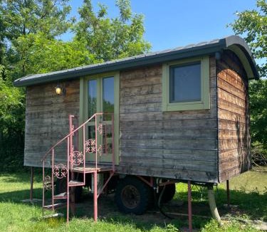 Albairate House | Glamping Casetta sul lago