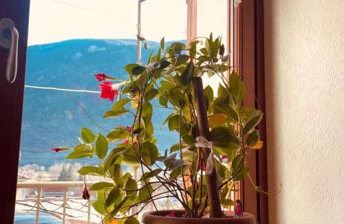 Saint Maurice Apartment | Gran Paradiso Alpine Lodge