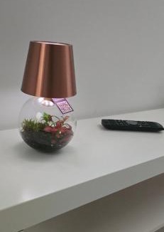 Secondigliano Apartment | Griseo Equus Apartments GEAs