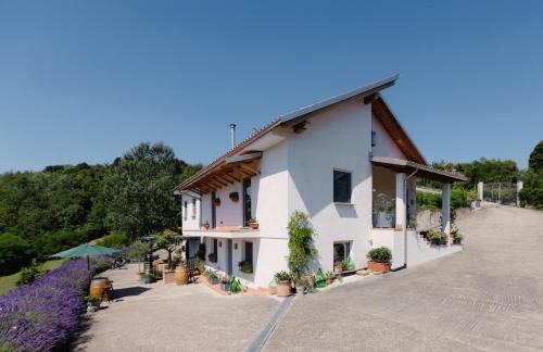 Cavatore House | Guest House Ferri e Zani