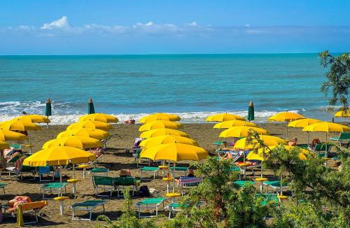 Marina di Montalto Other | Happy Camp Mobile Homes in Gitavillage California