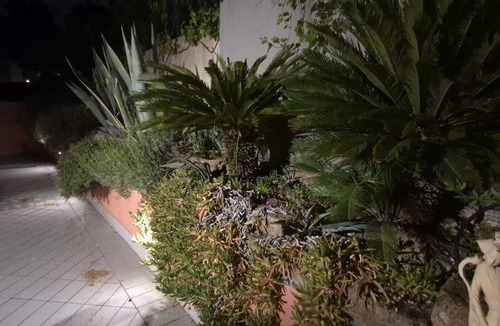 Candelara Bed & Breakfast | Here everyone is who they want to be. Welcome to a unique and superbly maintained room.