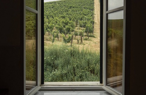 Strevi House | Holiday Home 'Azienda Oddone Prati Winery' with Private Pool, Shared Garden & Wi-Fi