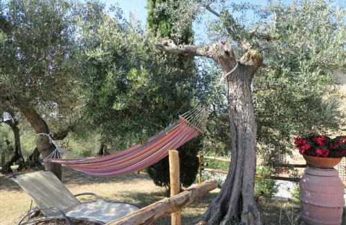 Teverina di Cortona House | Holiday Home La Collina Fiorita by Interhome
