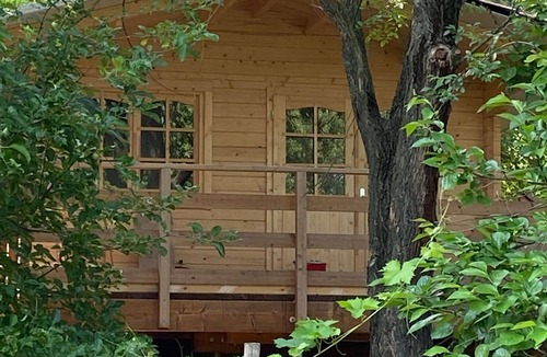 Alba Apartment | Holiday house sull’albero Rural eco in Alba