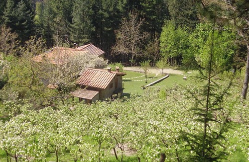 Moggiana House | Homerez - Cozy House in Bibbiena + Pool & Garden