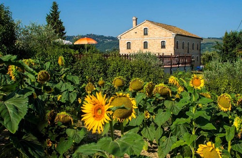 Montecarotto House | Homerez - House in Montecarotto