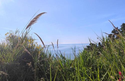 Falconara Marittima Apartment | Host4All casa vacanze