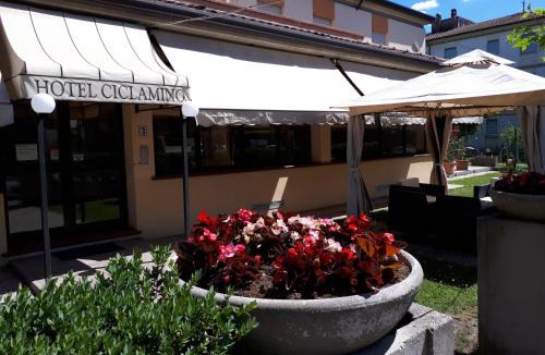Riolo Terme Hotel | Hotel Ciclamino