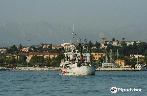 Giulianova Hotel | Hotel Cristallo
