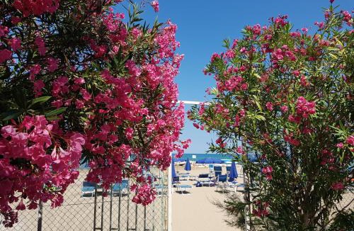 Mandrione Hotel | Hotel Gabbiano Beach