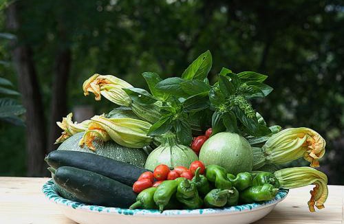 Radicondoli Bed & Breakfast | Hotel Giogliano