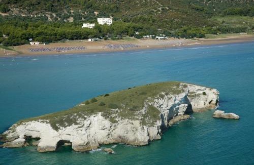 Vieste Hotel | Hotel Portonuovo