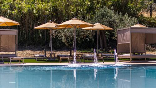 Marina di Vasto Hotel | Hotel President