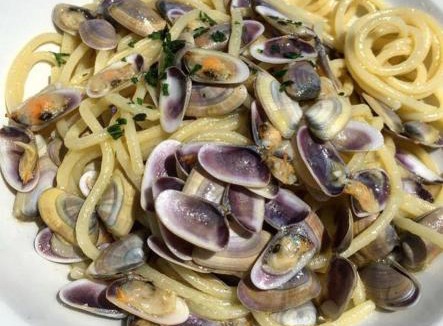 Porto San Giorgio Hotel | Hotel Tritone