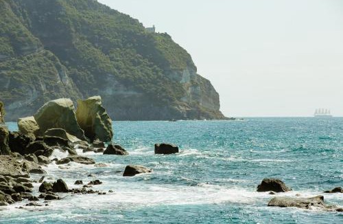 Forio Hotel | Hotel Umberto A Mare