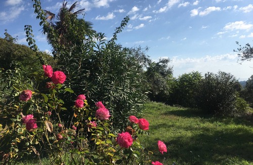 Campofilone House | House/Villa - Campofilone