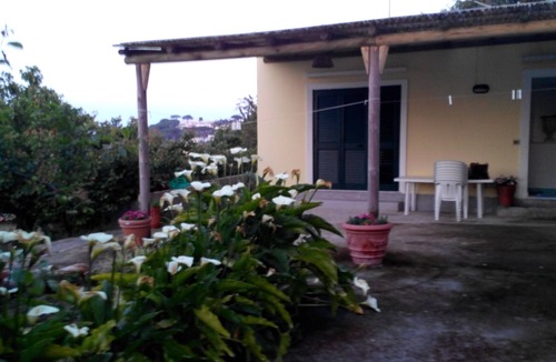 Lacco Ameno House | House with garden Lacco Ameno