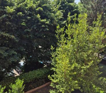 Rescaldina Apartment | I Giardini di Linda
