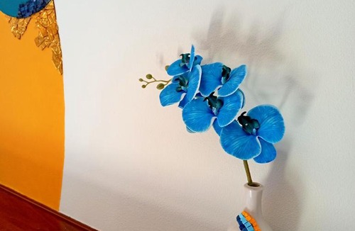 Ronco Scrivia Apartment | I Mosaici Guesthouse