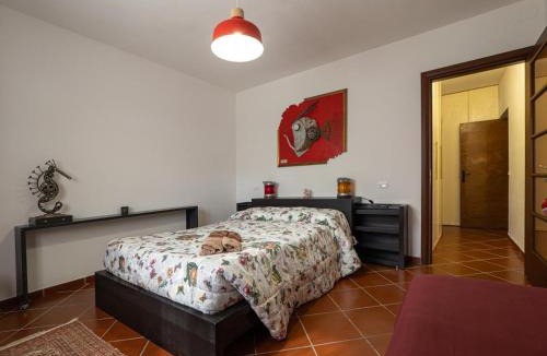 Castelfidardo House | I relitti del Conero
