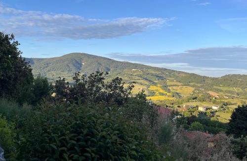 Camerano House | I Segreti del Borgo Rooms