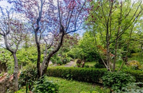 Soriano nel Cimino Bed & Breakfast | Il Boschetto Di Castagni