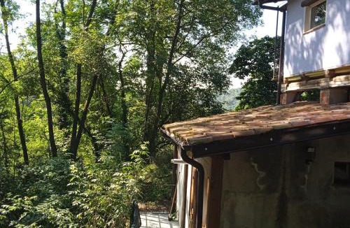 Netro Apartment | Il canto del bosco
