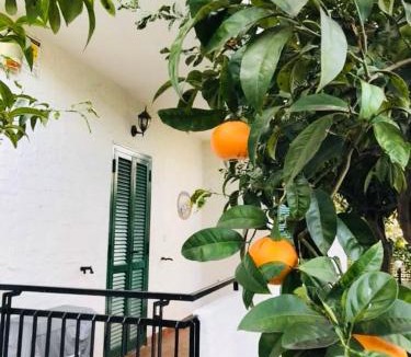 Vieste House | IL CANTO DELLE SIRENE - Seaside room