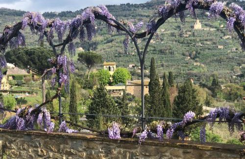 San Pietro a Cegliolo Hotel | Il Falconiere Relais & Spa