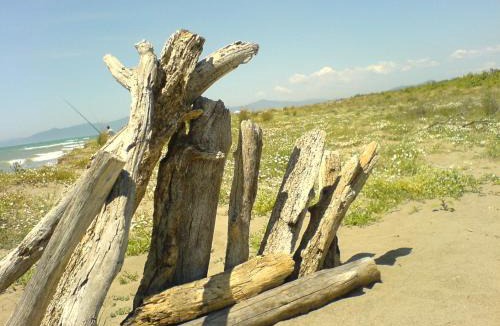 Principina a Mare Apartment | Il Gamberetto