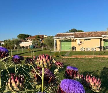 Grosseto House | Il giardino di nunzia