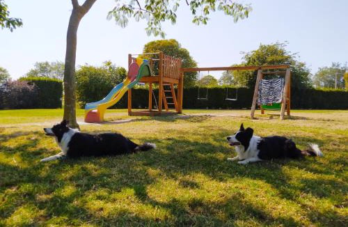 Camerano Bed & Breakfast | Il Girasole Country House