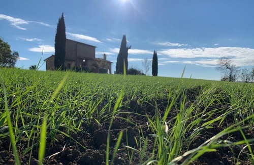 Manciano Apartment | Il Grottino di Saturnia