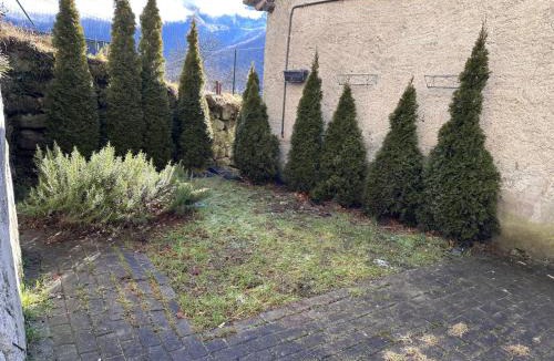 Ala di Stura Apartment | Il nido d'Ala
