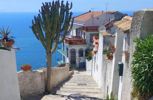Raito House | Il Nido di Raito