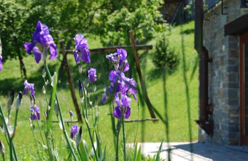Albareto Apartment | Il Paradiso monolocale Cottage