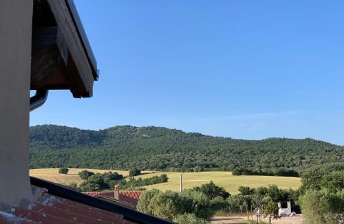 Canino House | Il Poggio di Musignano