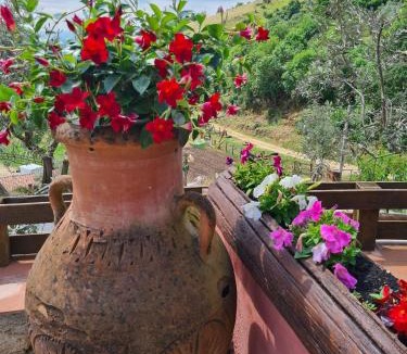 Anagni Villa | Il Rifugio Rosa