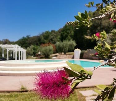 Scarlino Apartment | Il Rosmarino Appartamenti