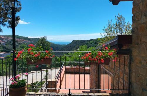 Camerota Bed & Breakfast | Il Sogno di Teresa
