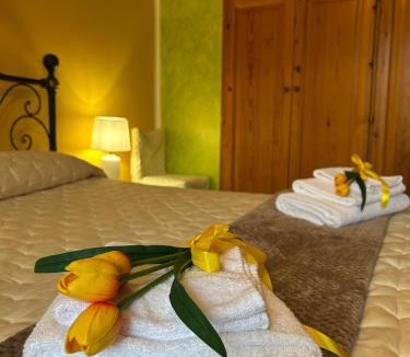 Colle di Tora Bed & Breakfast | Il Tulipano sul Lago