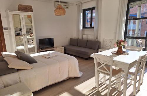 Alba Apartment | Incantevole Appartamento Monolocale Alba 4
