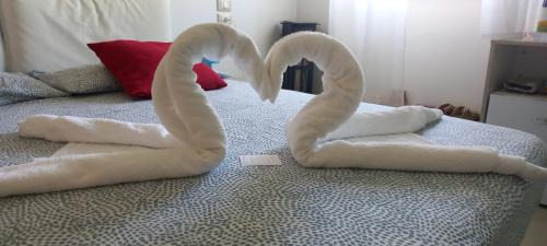 Campomarino Bed & Breakfast | IRIS COTTAGE b&b