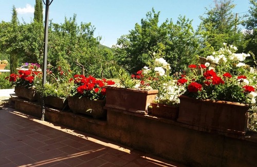 Castelnuovo di Val di Cecina Apartment | Cozy apartment on a vacation farm with pool