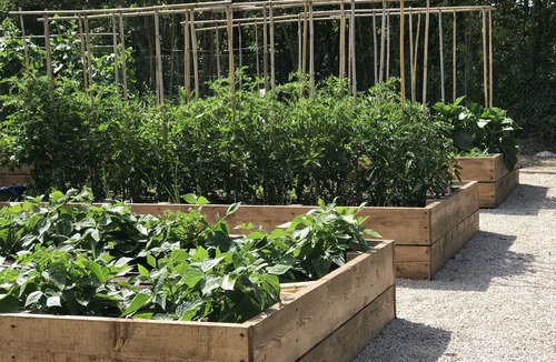 Monteluiano House | Authentic, welcoming, elegant, comfortable, panoramic, surrounded by nature