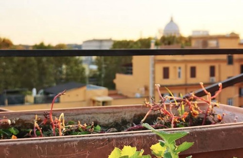 Vatican House | Motel ∙ 8 guests
