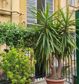 Vatican Apartment | Jubilee 3 Luxury apartment in Rome Vatican