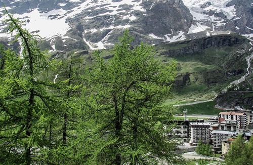 Cervinia Apartment | Just 30m from the ski lifts