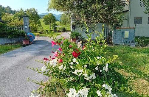 Mombasiglio Bed & Breakfast | L'Isola Dla Cerrea
